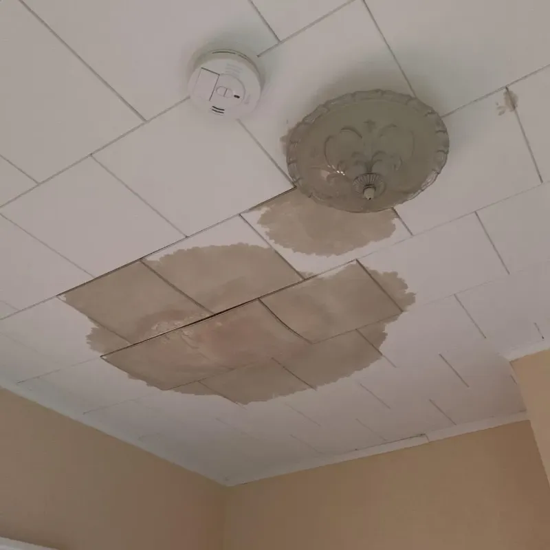 Ceiling Water Damage Repair in Wake County, NC
