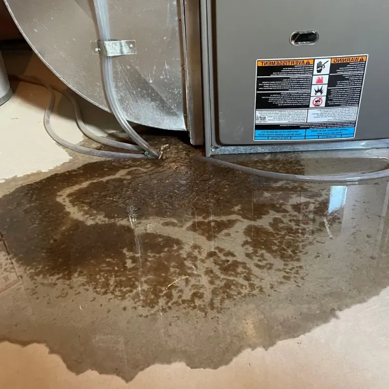 Pipe Burst and Leak Restoration in Wake County, NC