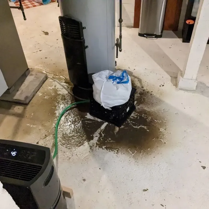 Sewage Backup Cleanup Service in Wake County, NC